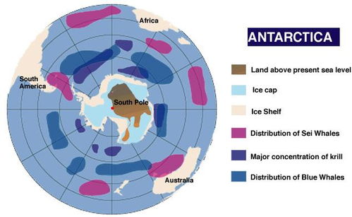 南極的資源分配